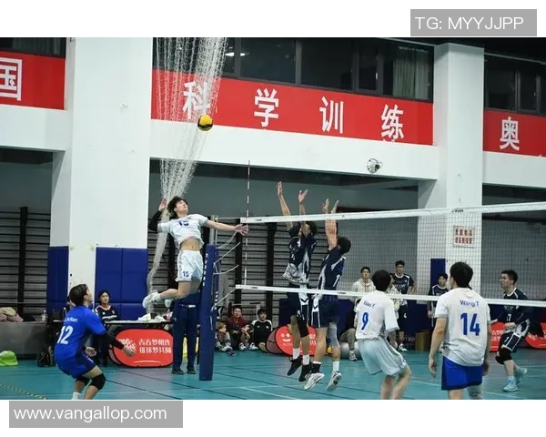 深圳排球队的奋斗与荣耀：一段青春与梦想交织的排球成长之旅